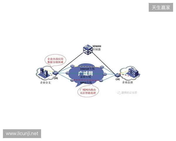 贝锐蒲公英游戏联机方案深度测评：2025年SD-WAN技术如何重新定义跨平台游戏体验